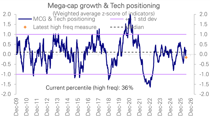 Figure 26: Mega-cap growth & Tech positioning